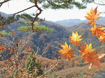 岳西县最新新闻